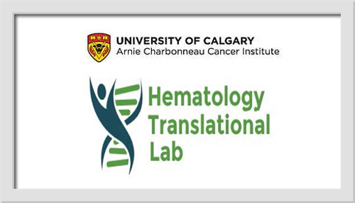 Research Associate
