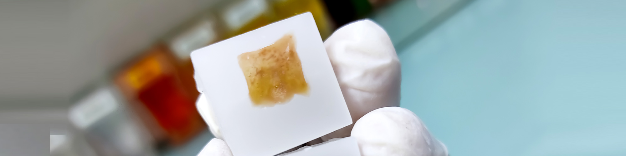 Processing FFPE Punches On The Ionic Purification System