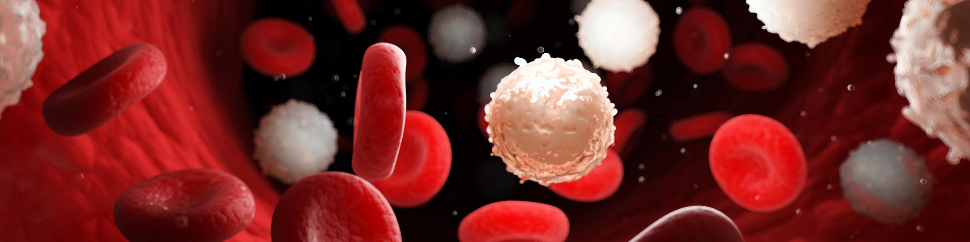 Isolation of White Blood Cells from Whole Blood